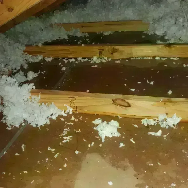 Attic Water Damage in Oakley, KS