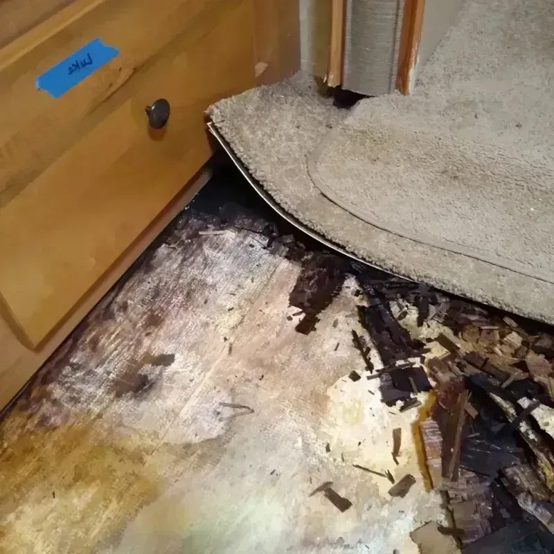 Wood Floor Water Damage in Oakley, KS